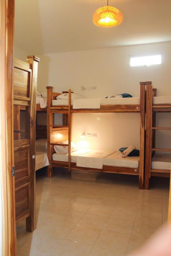 Bed in 6-Bed Mixed Dormitory Room